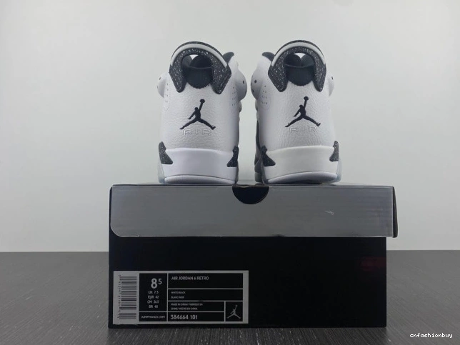 6 Jordan Oreo 384664-101 Retro 0729